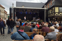 Burkhard Peine singt live auf der Bühne