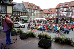 Burkhard Peine singt live auf der Bühne